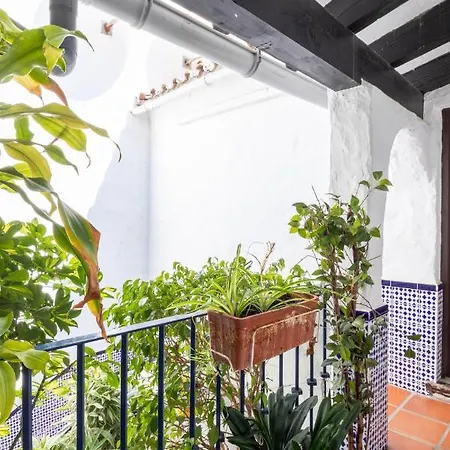 Luxurious Frontline Penthouse In Puerto Banus Appartement Marbella Buitenkant foto